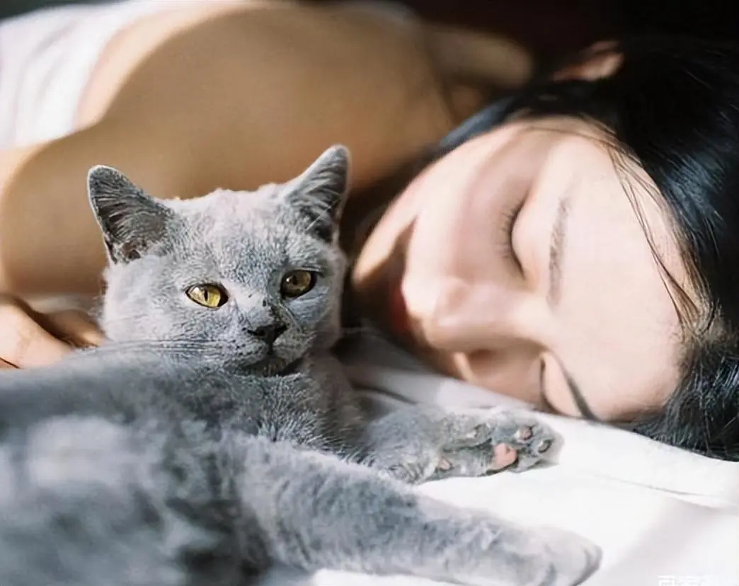 猫咪为什么那么喜欢和主人一块睡觉呢？其中的原因你知道吗？