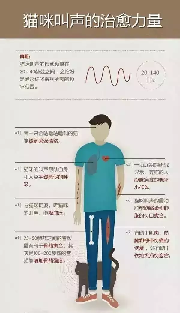 养猫原来有这11个好处，看完心服口服