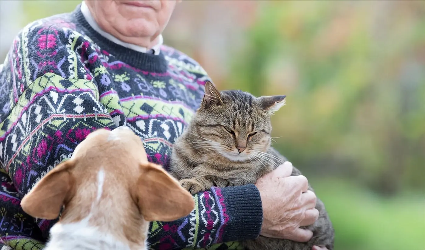 从猫咪的名字，就能看出主人的性格类型，你中招了没？