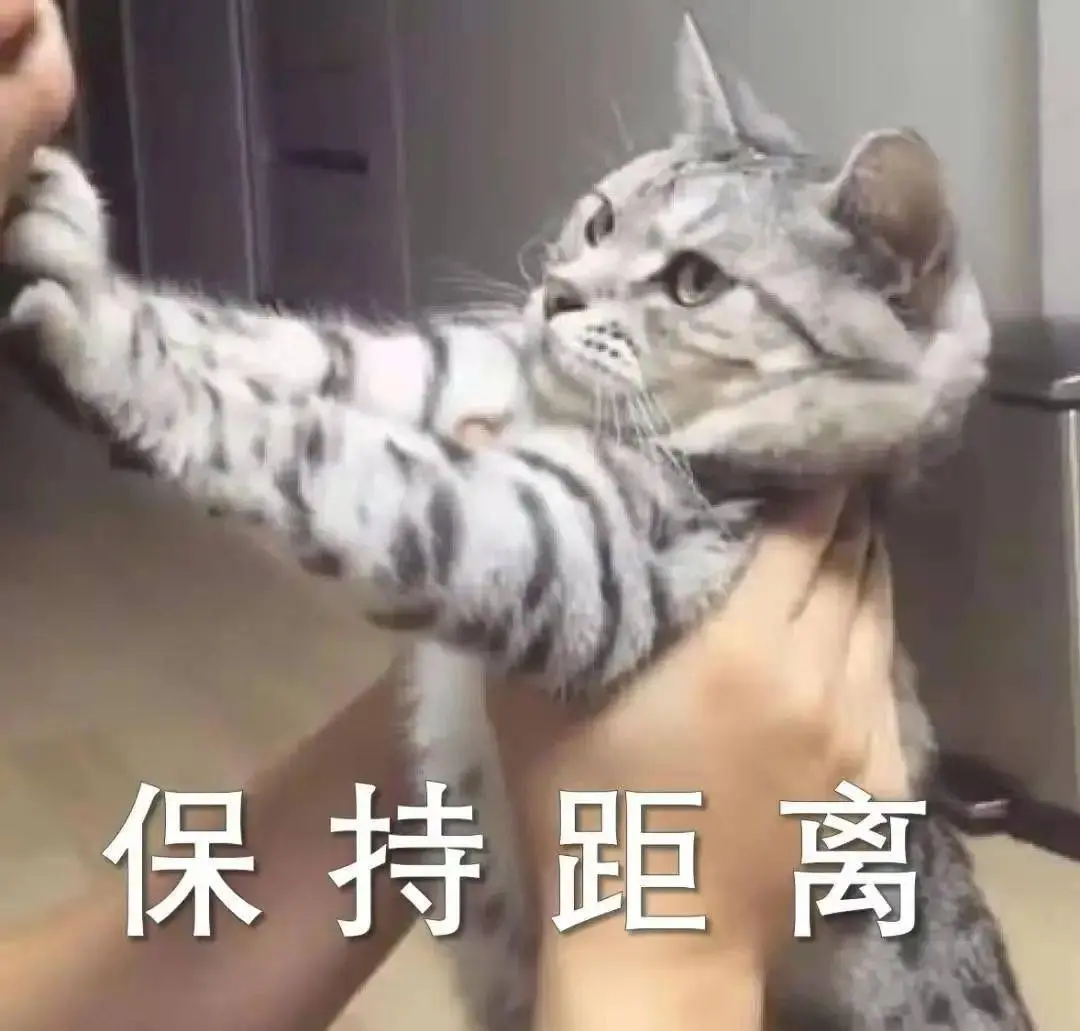 猫咪的生气等级不一样，要是你达到了最后一级，说明你被恨惨了