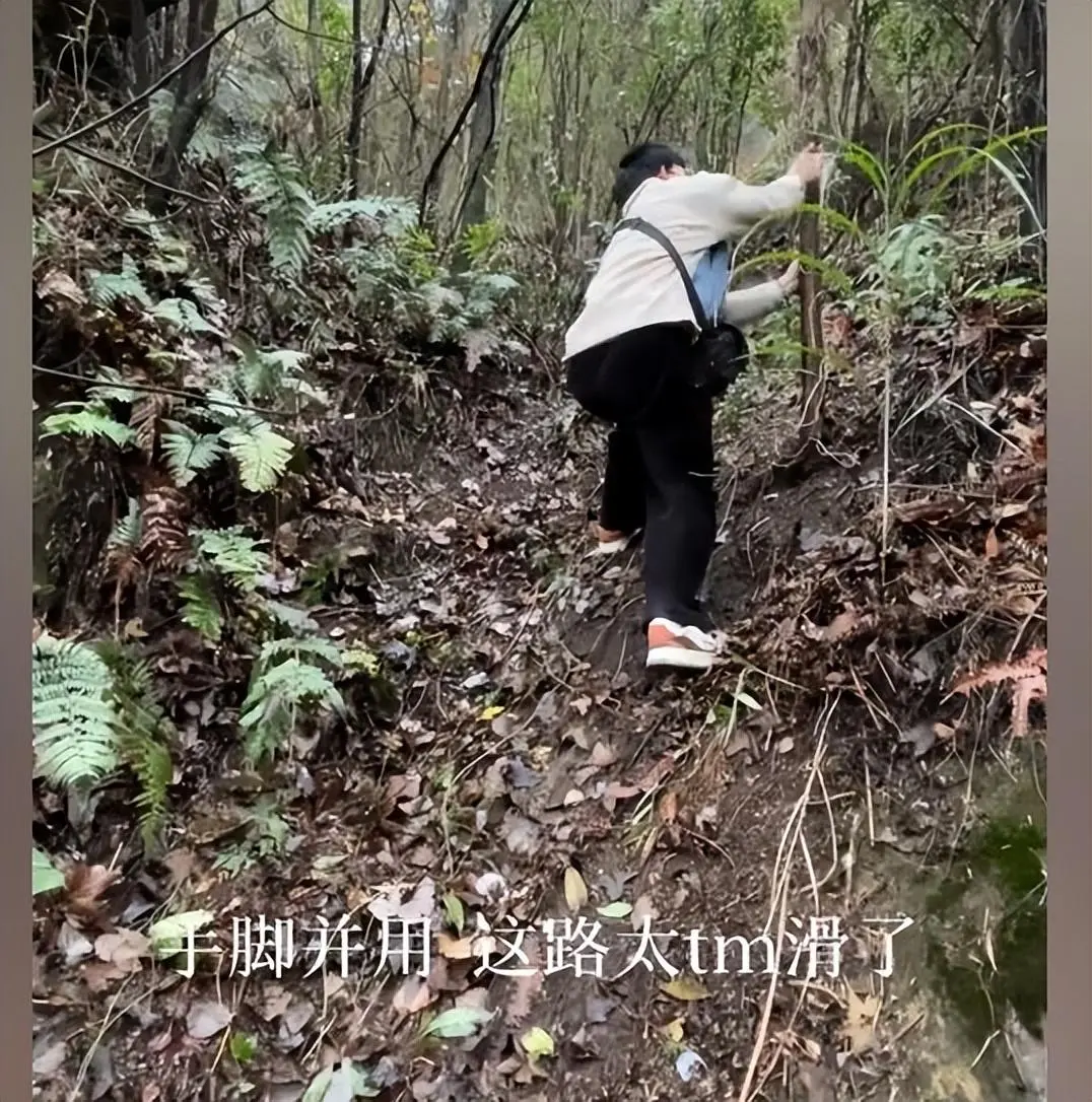 小伙进山寻佛后迷路，狗狗带着小伙成功找到大佛：太有灵性了吧