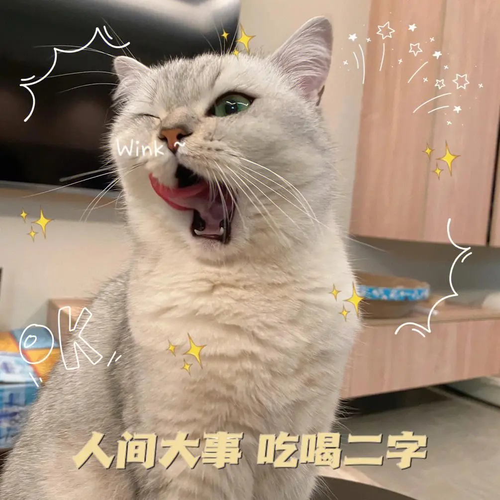 猫咪被“宠坏”了，才会有这6大恶习：你家猫有出现这些恶习吗？