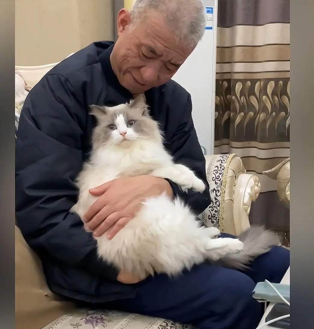 家里装修带着猫搬进父母家，老爸嘴上说讨厌，心里喜欢的不行