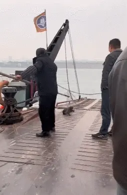 当小奶狗坠入长江的时候，船长立马调转船头打算回去营救