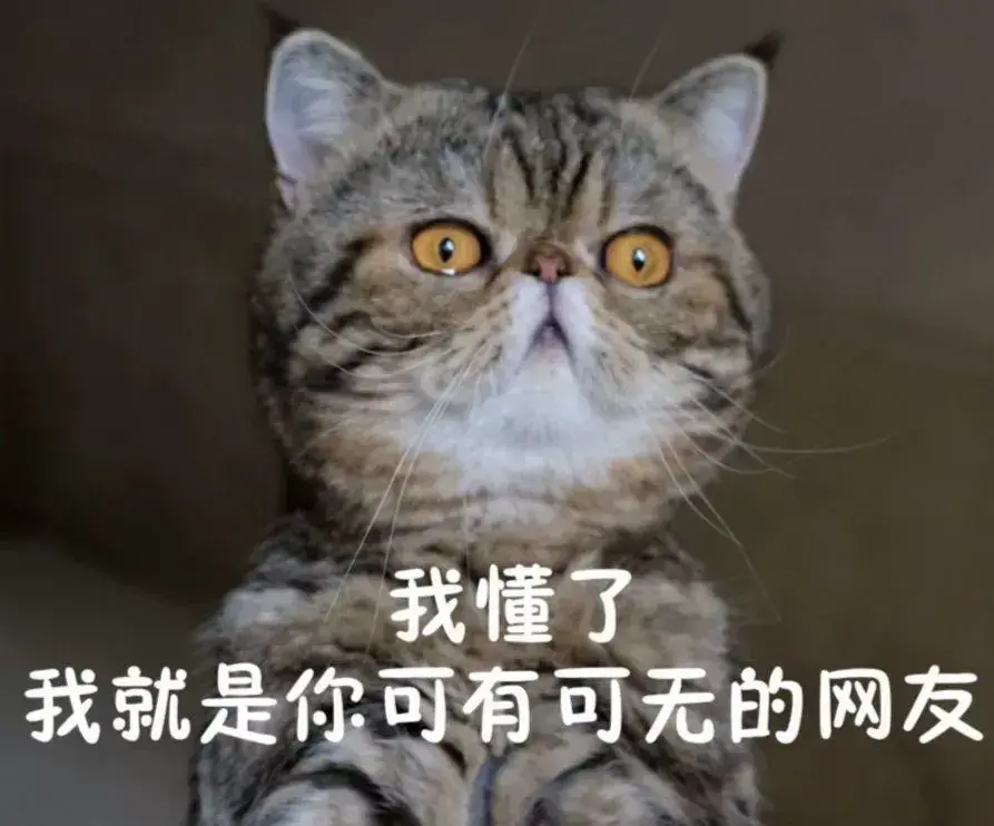 网友公认最“通人性”的猫咪，难怪这么多人养！