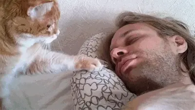 和猫“睡觉”发生的事，你的猫也这样吗？