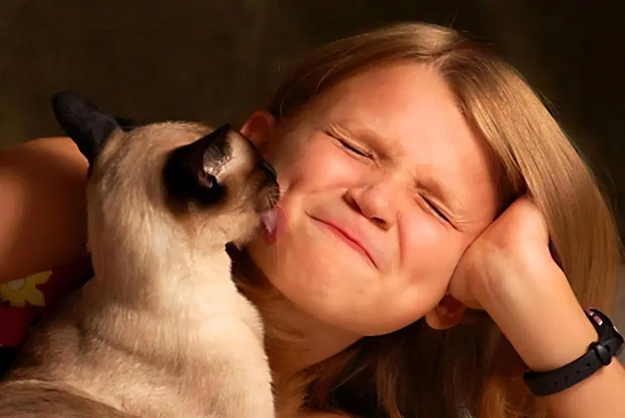 猫咪舔人“很脏”？别误解它，它其实是在向你传递心意！