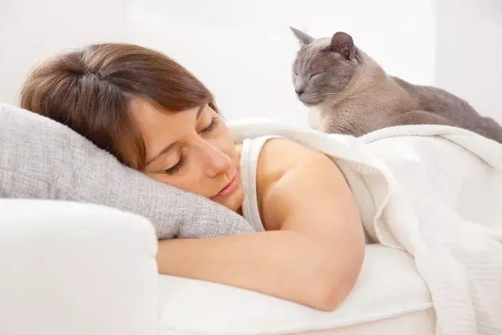 养猫3年的过来人告诉你，千万别跟猫“同睡”，危害很大！