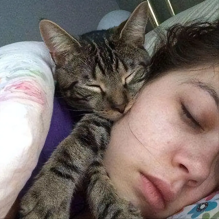“和猫睡”的好处这么多，怪不得那么多人养猫