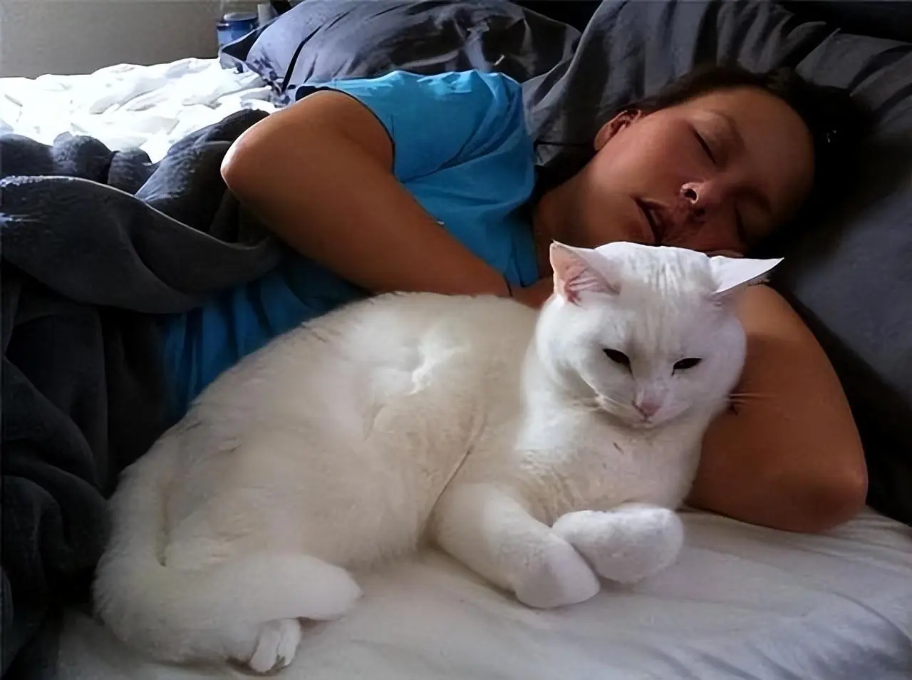 猫咪喜欢睡你脑袋旁边？看完这些原因，忽然觉得好暖心
