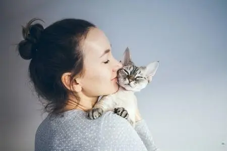 网友养猫后的“悲惨”人生：我的生活多了一点甜蜜和寄托