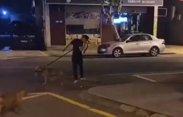 一名男子竟然训练、纵容宠物狗去咬死流浪猫，被路人喝止后加速离开