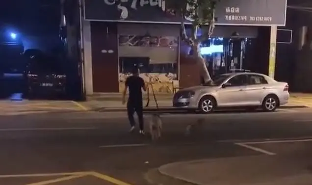 一名男子竟然训练、纵容宠物狗去咬死流浪猫，被路人喝止后加速离开