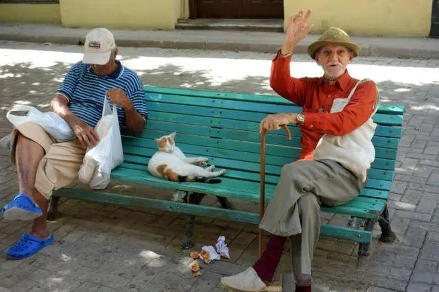原本对宠物很"无情"的记者来古巴后，爱上一只流浪小猫……