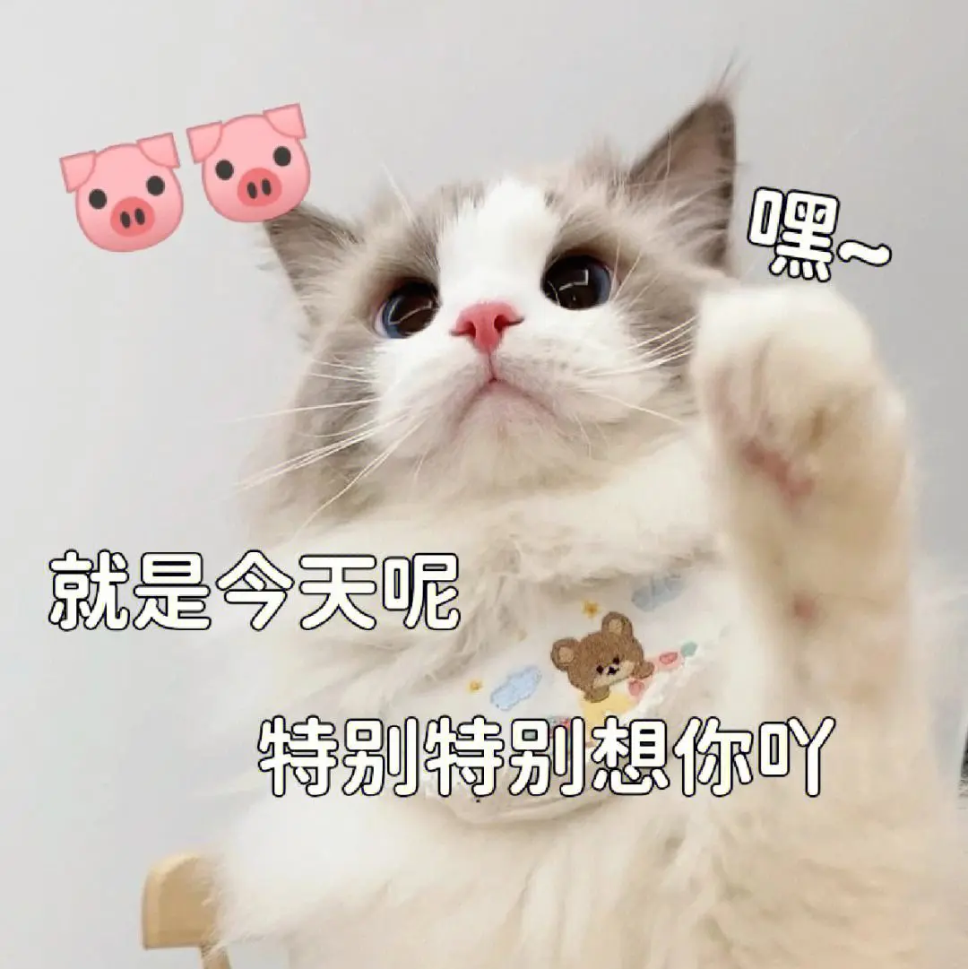 钟南山院士也推荐“养猫”，为什么呢？