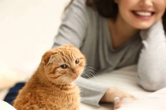 猫咪“记恨”主人的几个表现，你家猫咪有以下的表现吗？