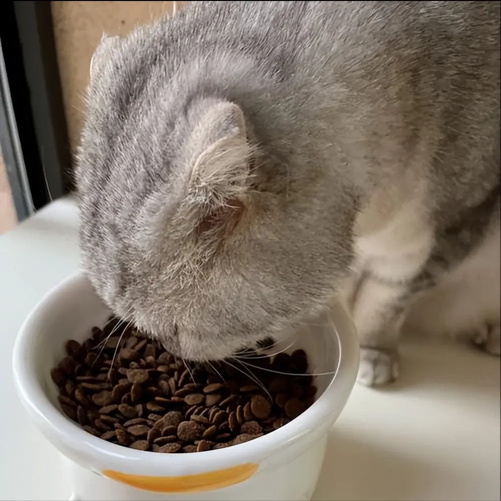 以下是一些英短猫发腮，常用的饮食方法和食品