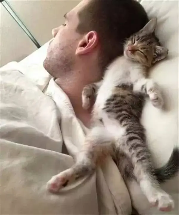 想知道猫咪爱不爱你？猫咪常睡在这5个地方，证明它超爱你的！