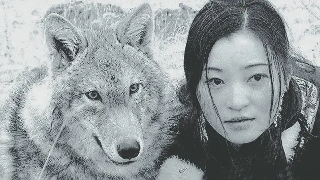 “女工与狼”之谜：王芳和狼群是如何相处的？狼群是如何救助她的呢？