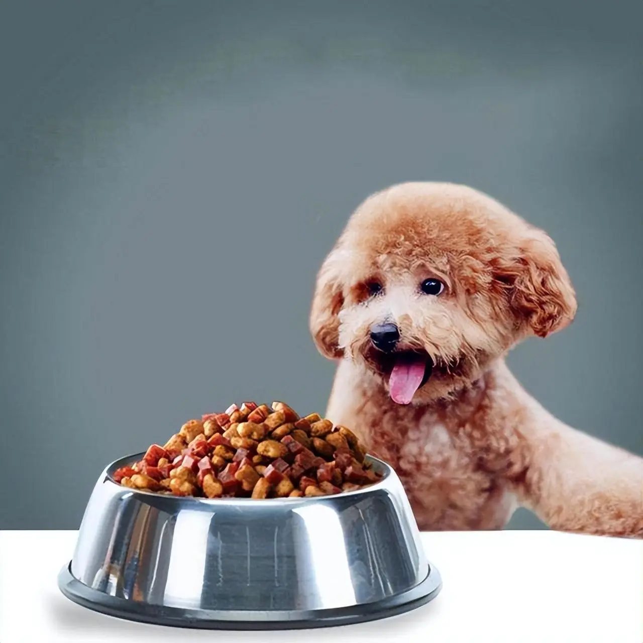 小型犬市场开始“洗牌”，你知道什么狗狗是很火热的吗？