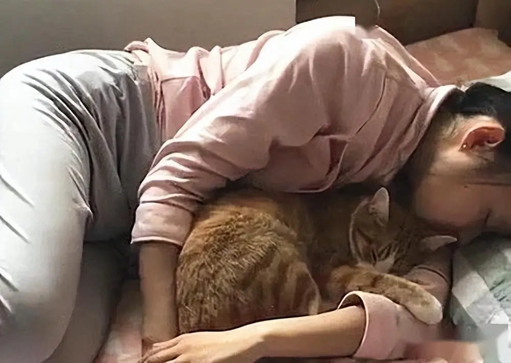 很多猫咪都喜欢睡在主人的身边，你知道含义吗？