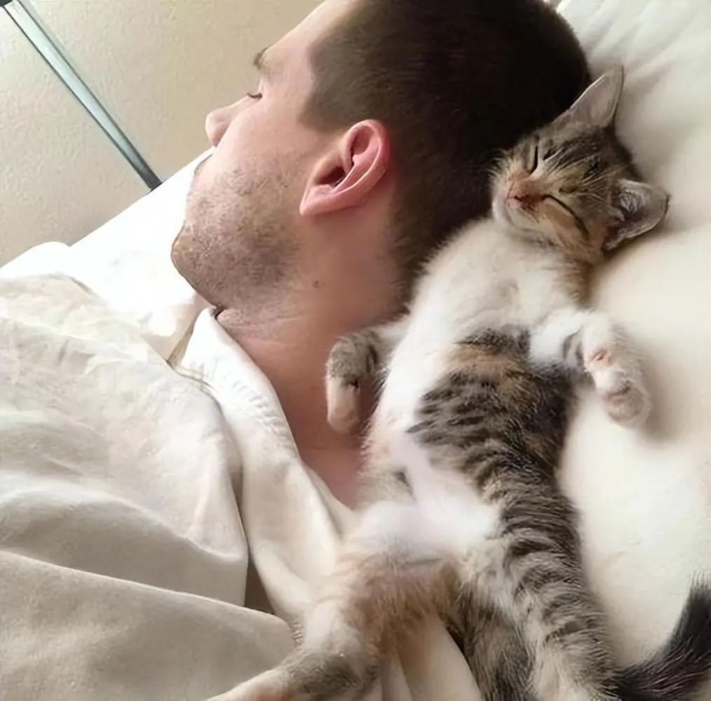 你家猫咪会粘着你一起睡觉吗？原因其实并不简单