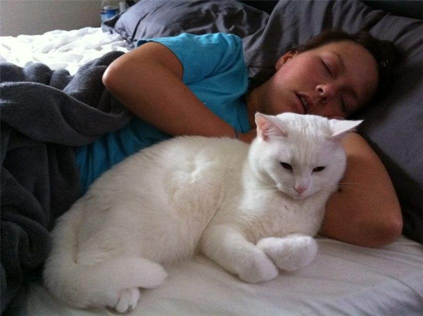 猫咪之所以喜欢睡在主人身边，原来有这些含义
